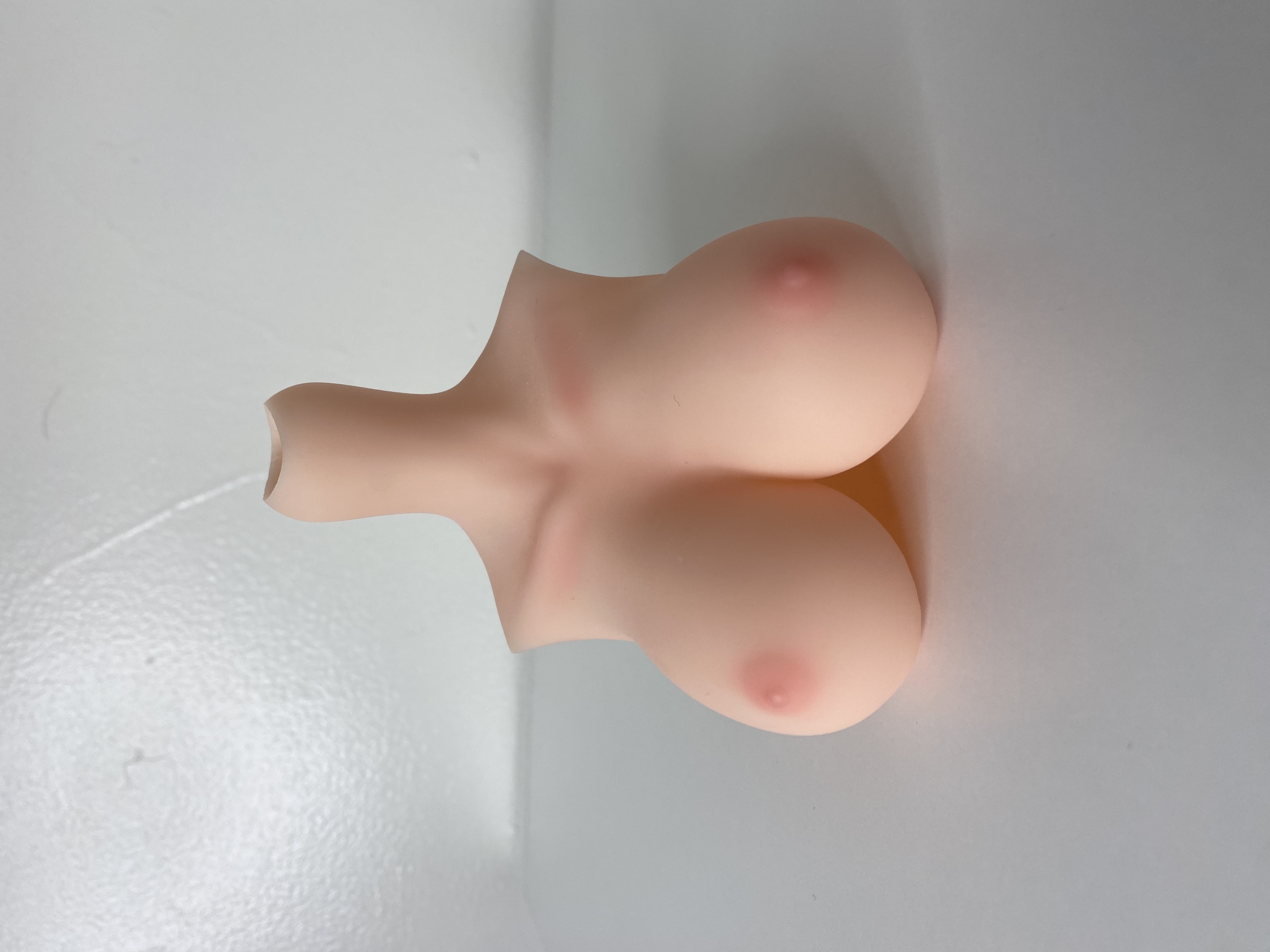 XL SD Bust